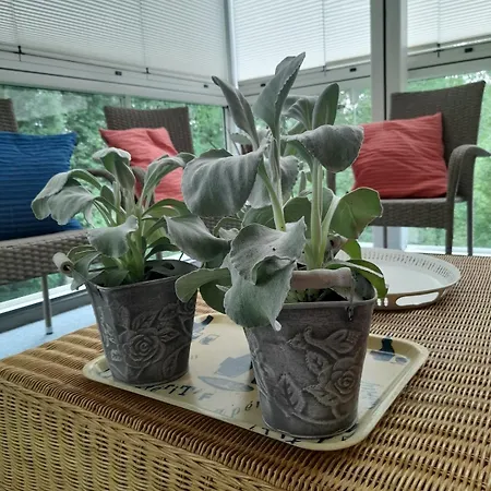 Villa Aholanranta - A Native Place In The Scenery Of The Kymijoki River