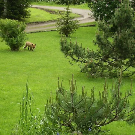 Aholanranta - A Native Place In The Scenery Of The Kymijoki River
