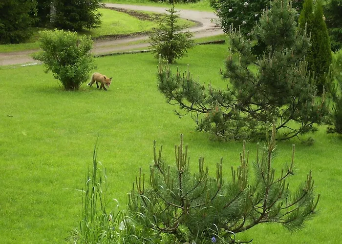 Aholanranta - A Native Place In The Scenery Of The Kymijoki River