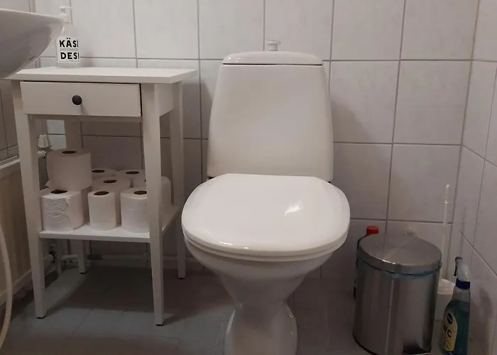 Aholanranta - A Native Place In The Scenery Of The Kymijoki River Villa *